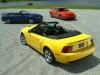 2004 Ford Mustang SVT Cobra Convertible thumbnail photo 90642