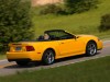 Ford Mustang SVT Cobra Convertible 2004