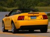 Ford Mustang SVT Cobra Convertible 2004