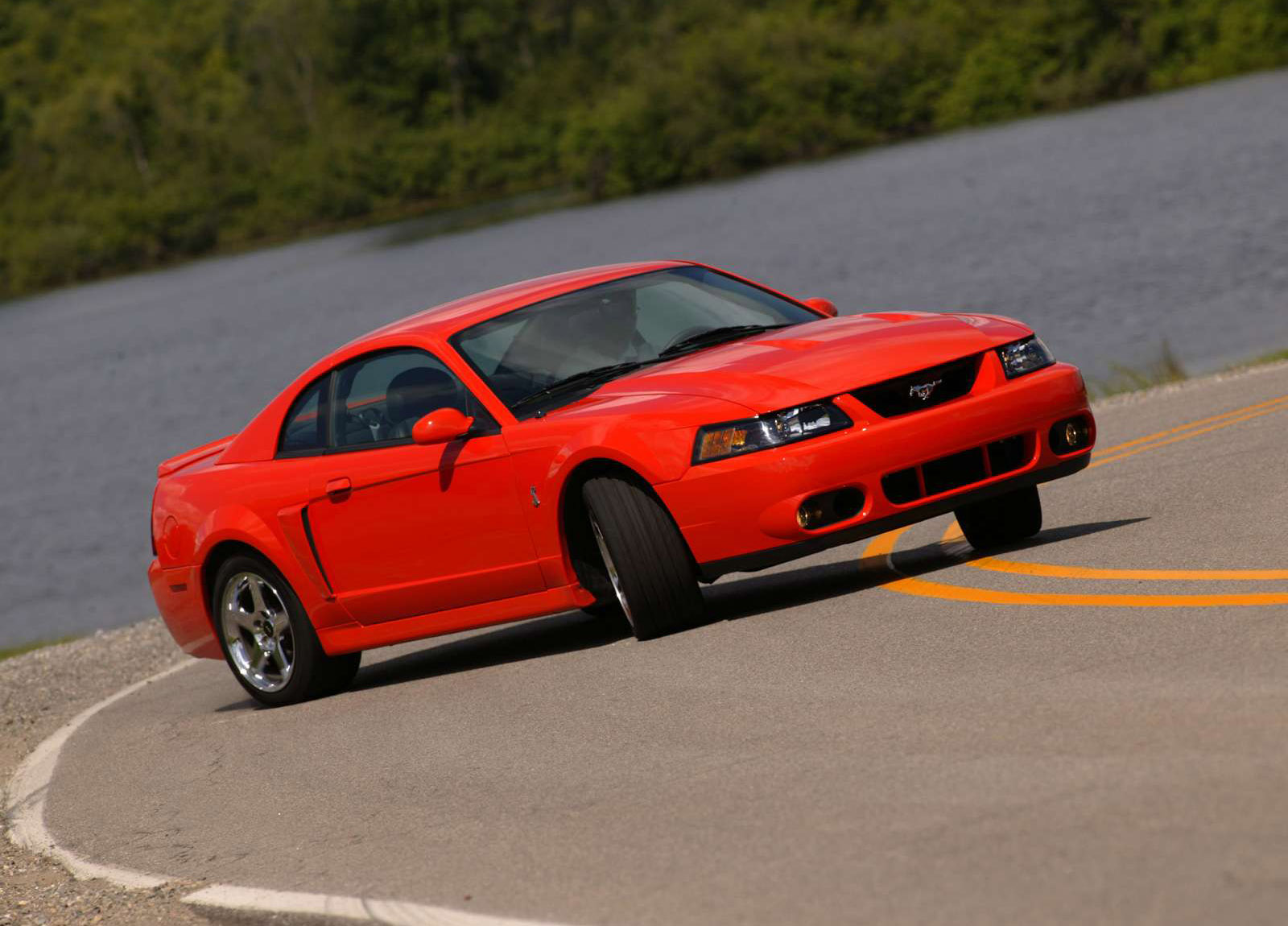 Ford Mustang SVT Cobra photo #3