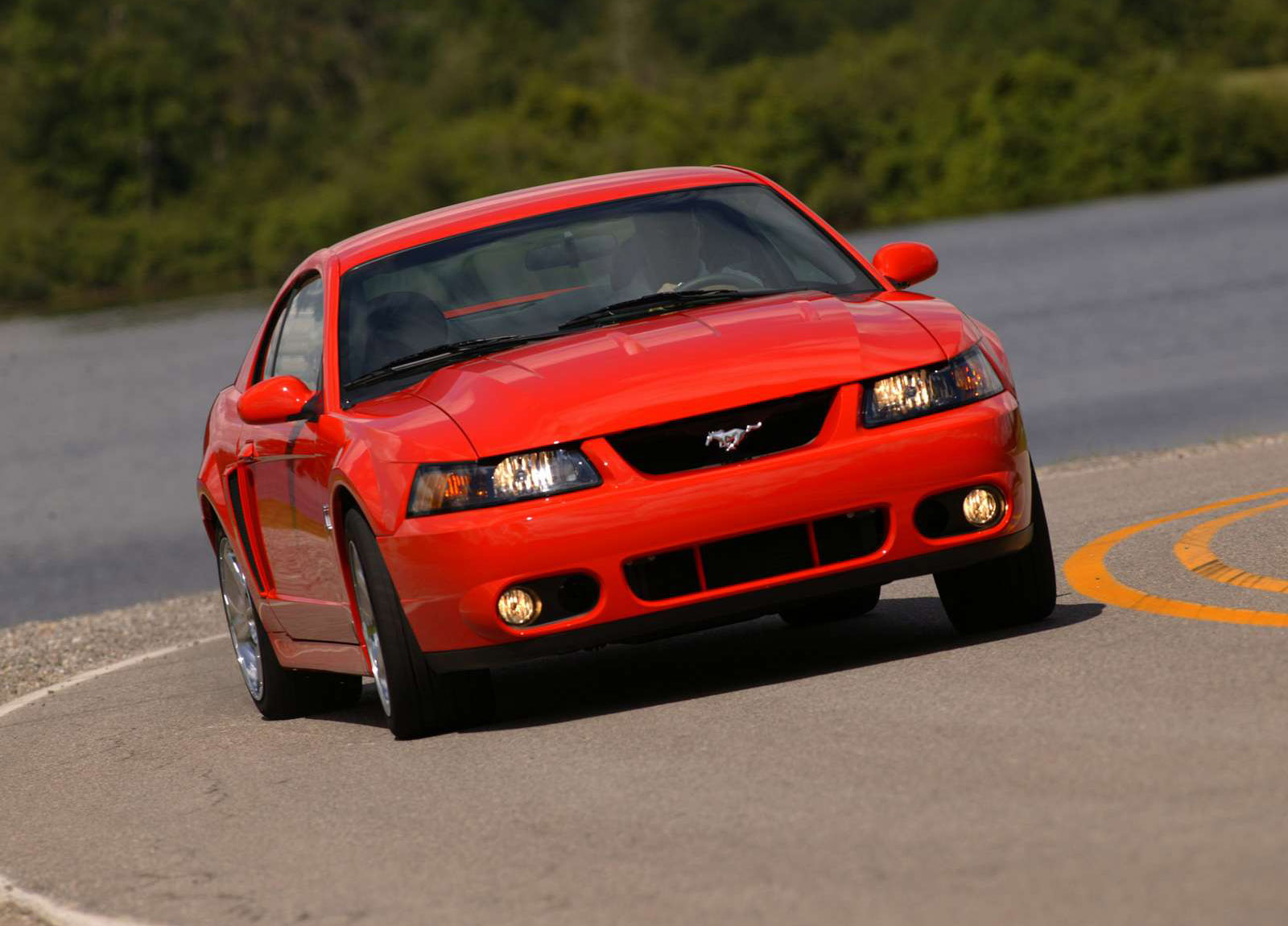 Ford Mustang SVT Cobra photo #4