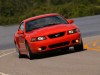 2004 Ford Mustang SVT Cobra thumbnail photo 90651