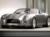 2004 Ford Shelby Cobra Concept thumbnail photo 90591