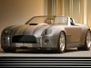 Ford Shelby Cobra Concept 2004