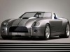 2004 Ford Shelby Cobra Concept thumbnail photo 90595