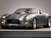 2004 Ford Shelby Cobra Concept thumbnail photo 90598