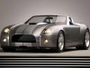 Ford Shelby Cobra Concept 2004