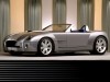 2004 Ford Shelby Cobra Concept thumbnail photo 90599