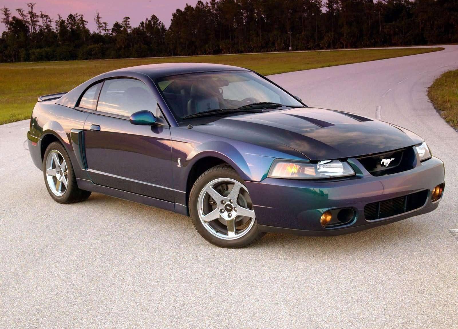 How much horsepower does a 2004 ford mustang cobra have