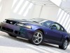 2004 Ford SVT Mustang Cobra MystiChrome thumbnail photo 90624