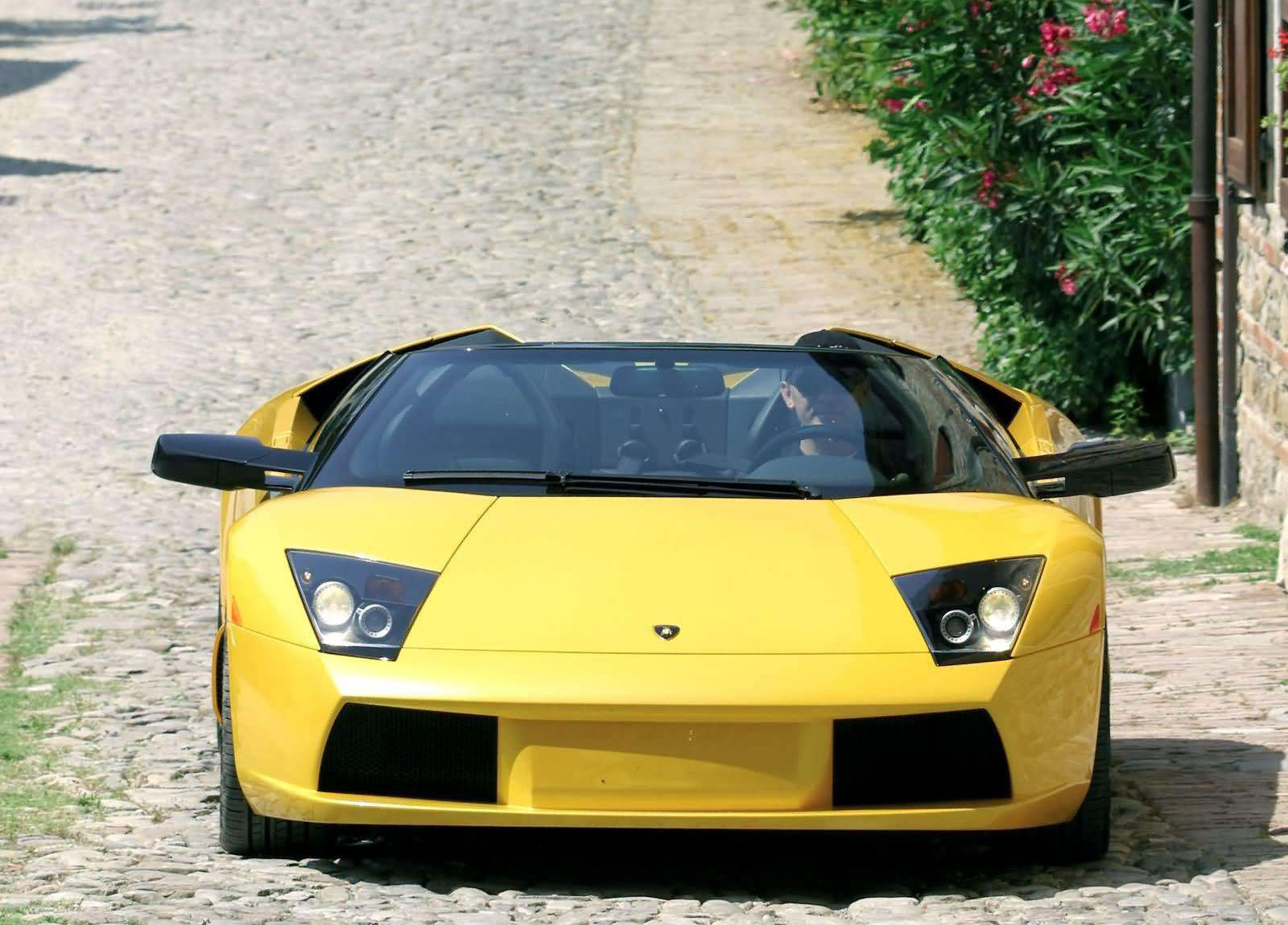 Lamborghini Murcielago Roadster photo #5