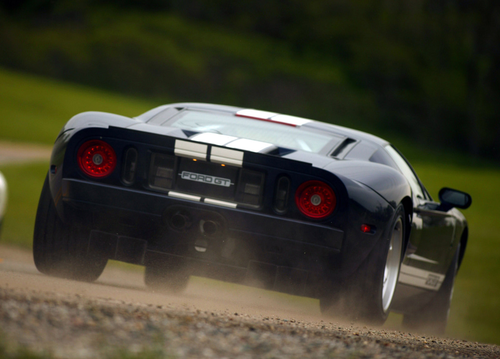 Ford GT photo #19