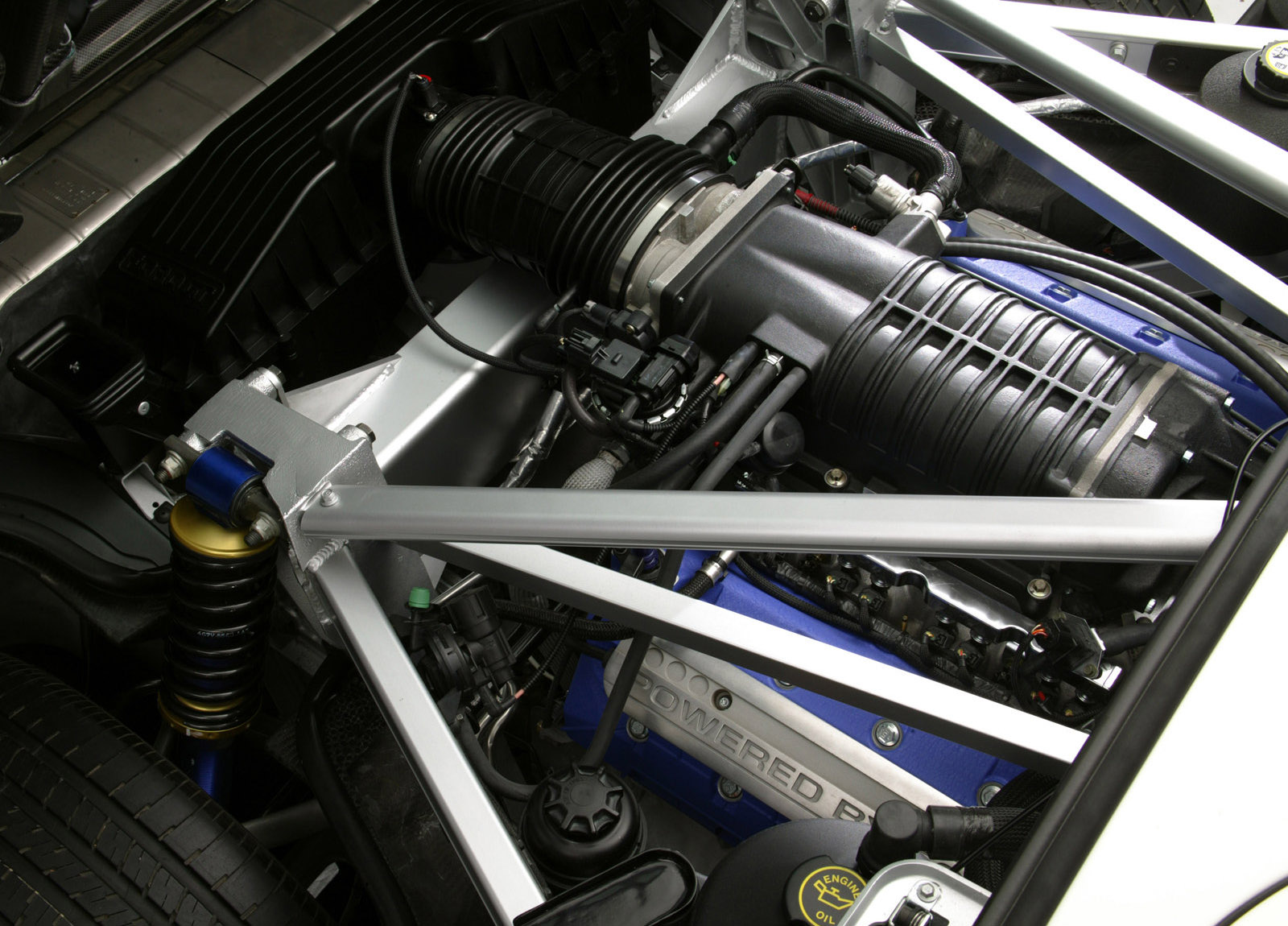 Ford GT photo #25