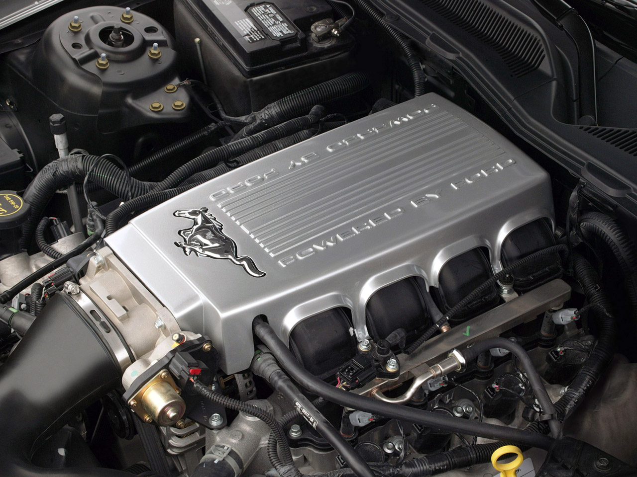 Ford Mustang GT photo #10