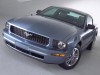 2005 Ford Mustang thumbnail photo 90101