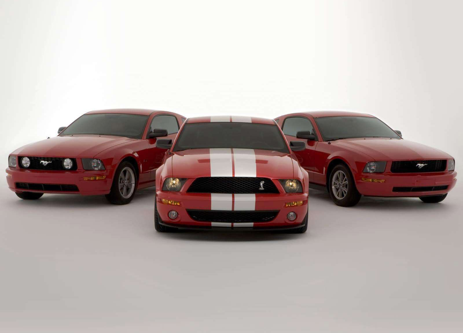 Ford Shelby SVT Cobra GT500 Mustang Show Car photo #1