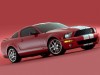 2005 Ford Shelby SVT Cobra GT500 Mustang Show Car thumbnail photo 89601