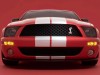 Ford Shelby SVT Cobra GT500 Mustang Show Car 2005