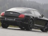 Mansory Bentley Continental GT 2005