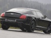 2005 Mansory Bentley Continental GT thumbnail photo 49497