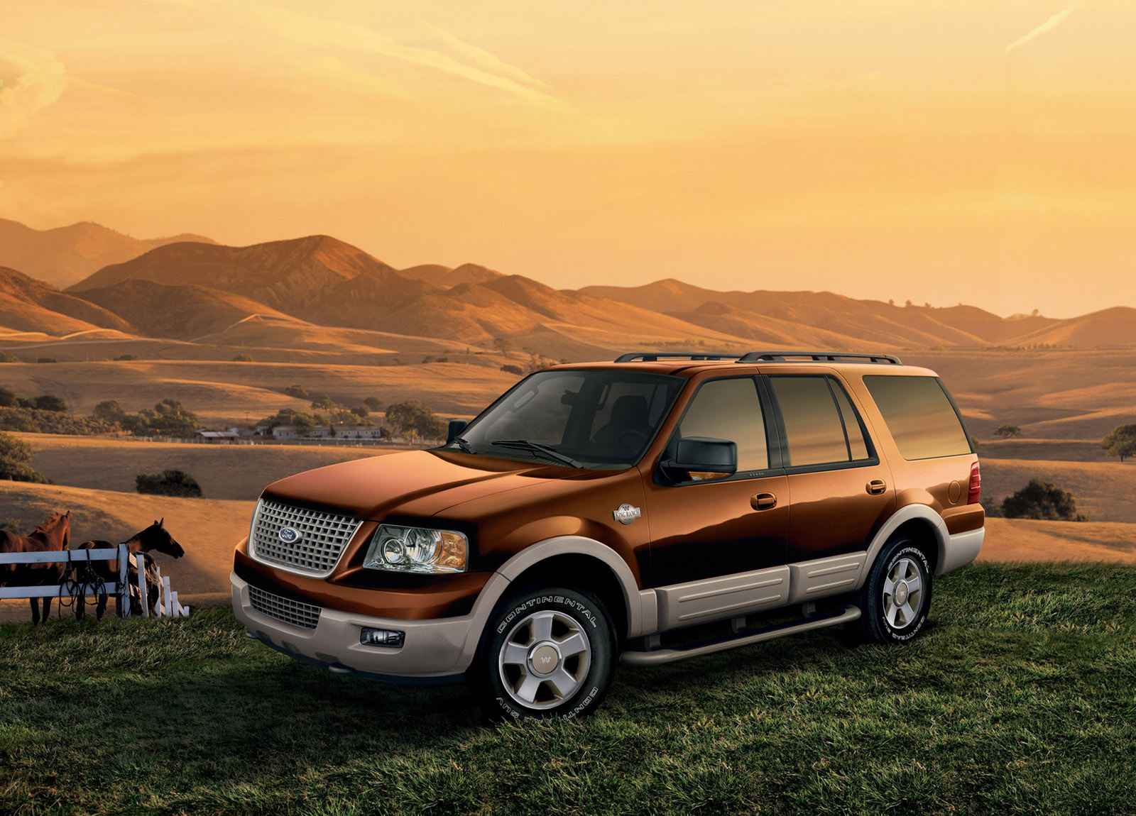 Ford Expedition photo #2