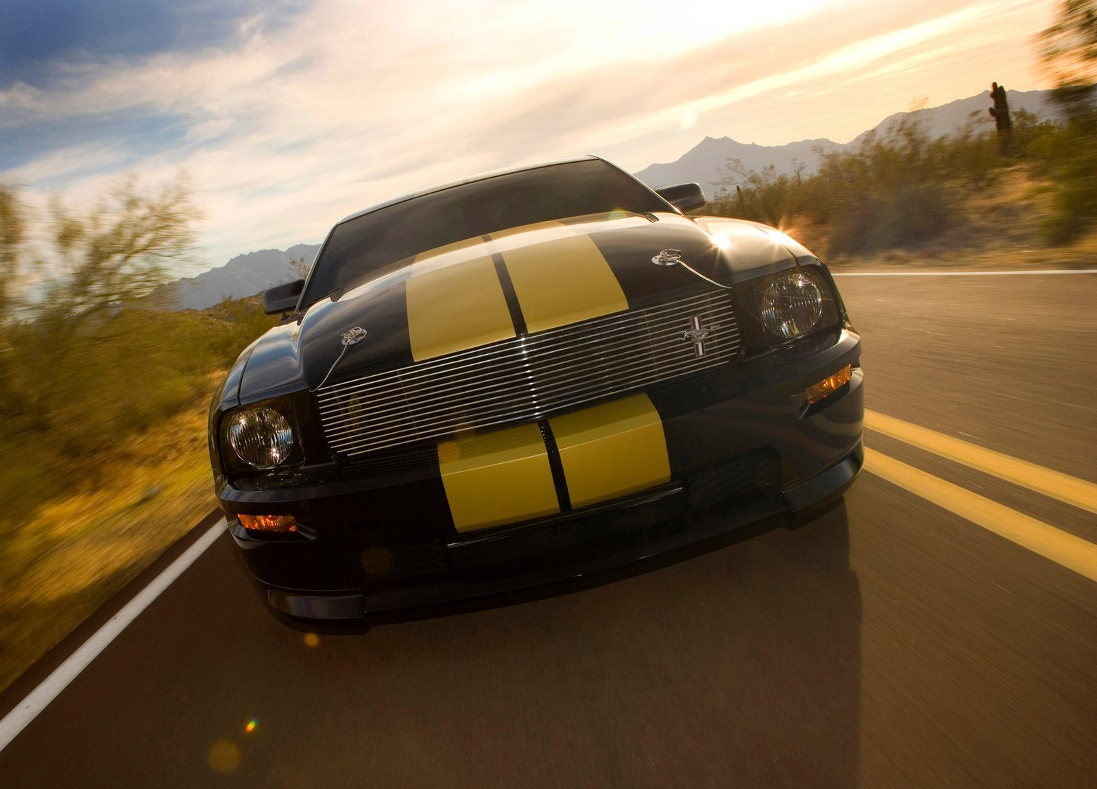 Ford Mustang Shelby GT-H photo #2