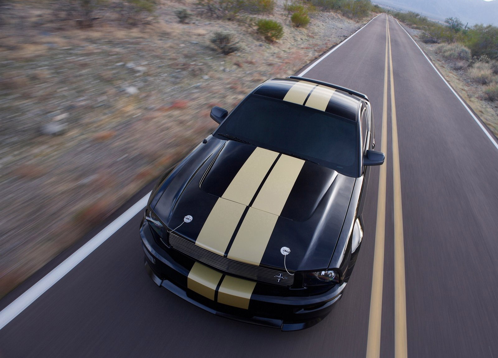 Ford Mustang Shelby GT-H photo #3