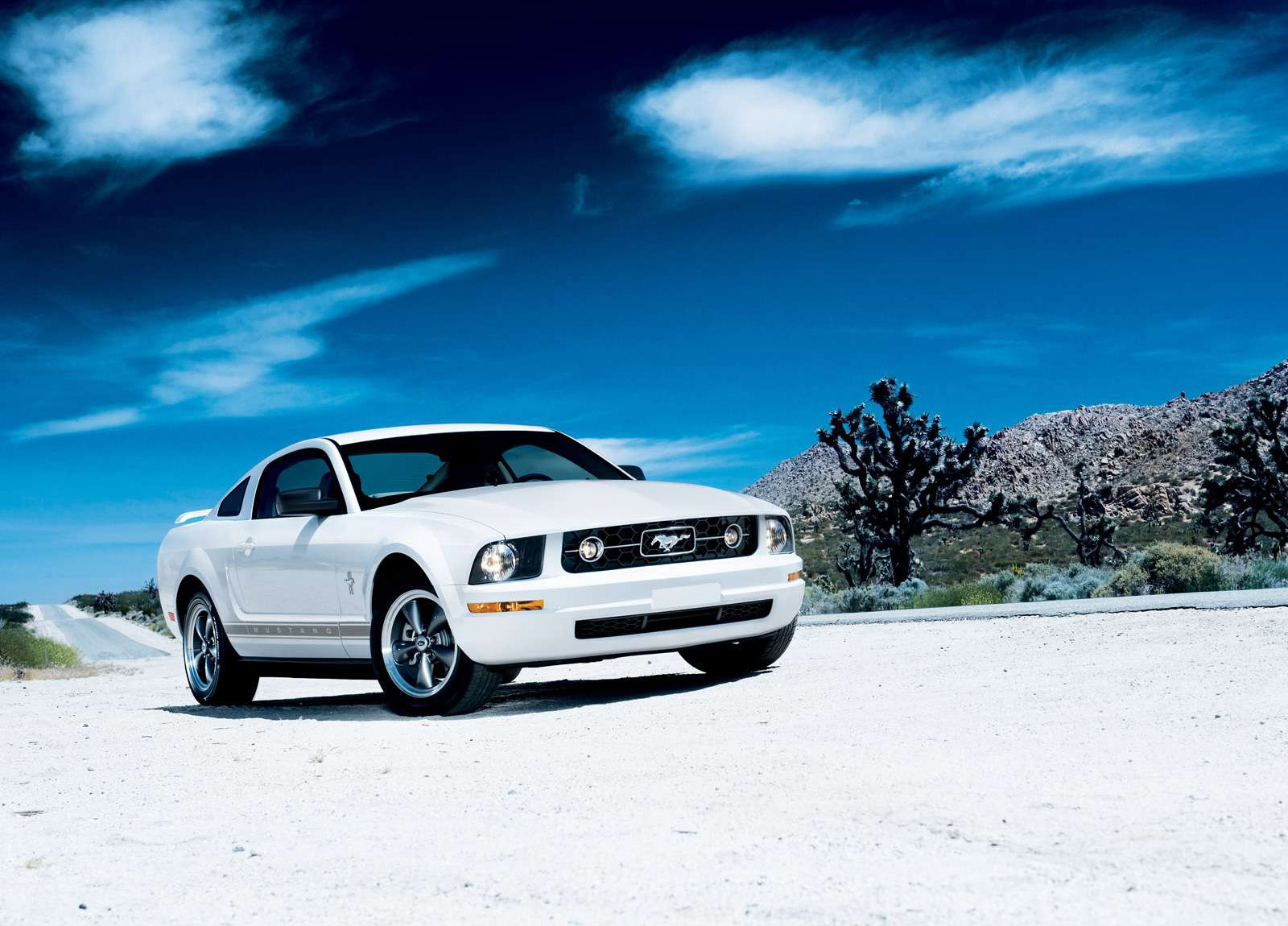 Ford Mustang V6 Pony photo #2