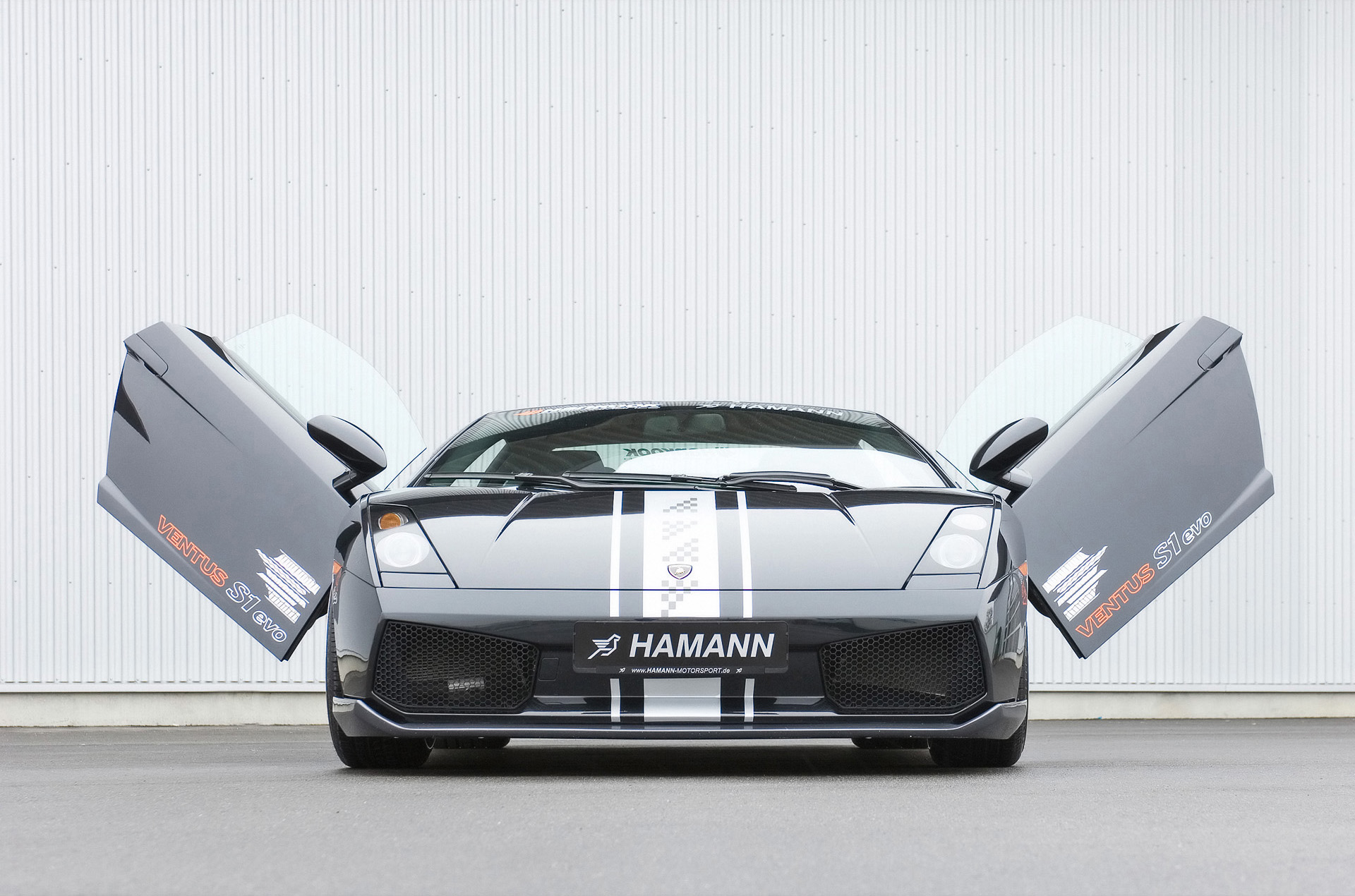 Hamann Lamborghini Gallardo photo #3