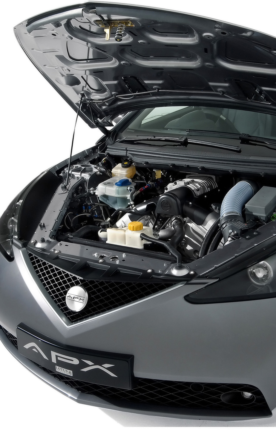 Lotus APX photo #6