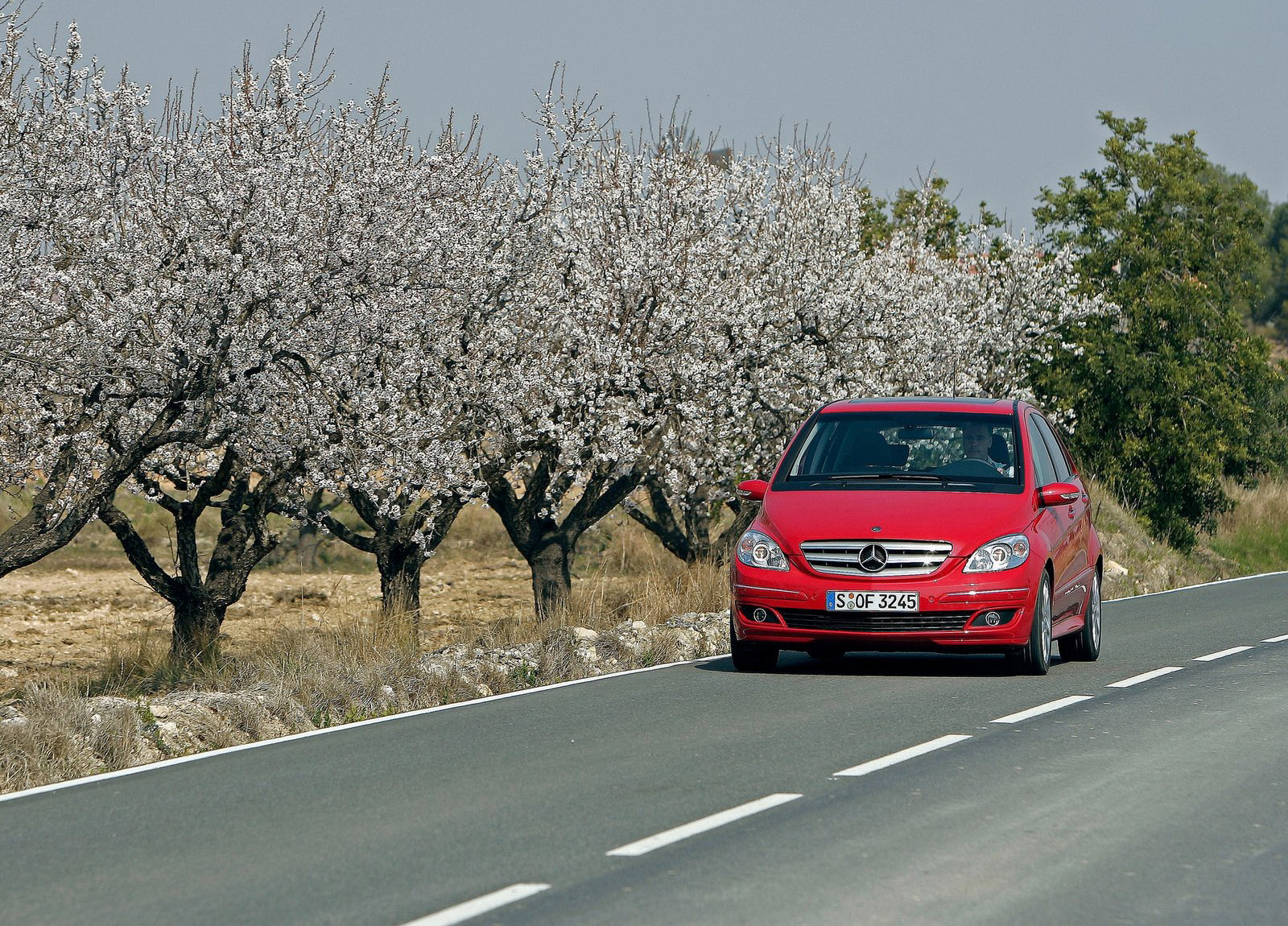 Mercedes-Benz B200 Turbo photo #24