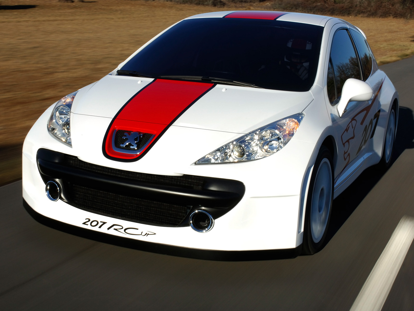 Peugeot 207 RCup photo #2