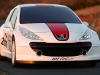 2006 Peugeot 207 RCup thumbnail photo 24686