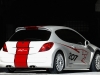 2006 Peugeot 207 RCup thumbnail photo 24692