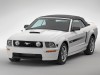 2007 Ford Mustang GT California Special thumbnail photo 87689