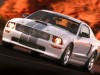 2007 Ford Mustang Shelby GT