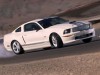 2007 Ford Mustang Shelby GT thumbnail photo 87575