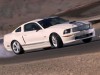 Ford Mustang Shelby GT 2007