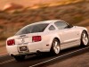 Ford Mustang Shelby GT 2007