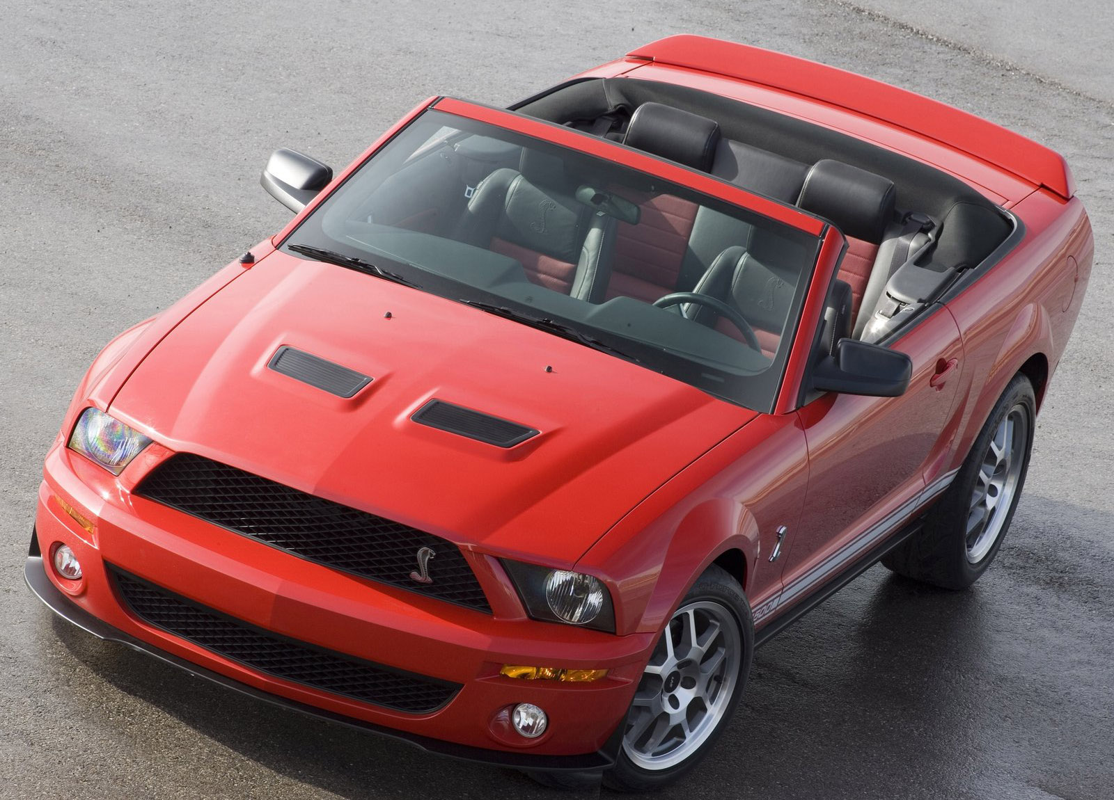 Shelby Ford Mustang GT500 Convertible photo #1
