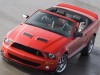 Shelby Ford Mustang GT500 Convertible 2007