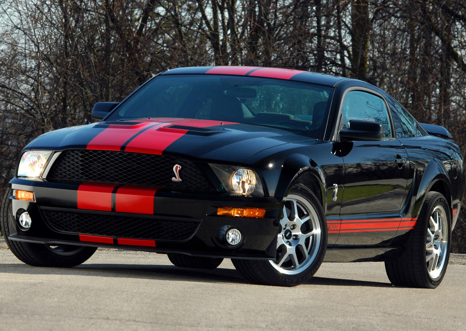 Shelby Ford Mustang GT500 Red Stripe photo #2