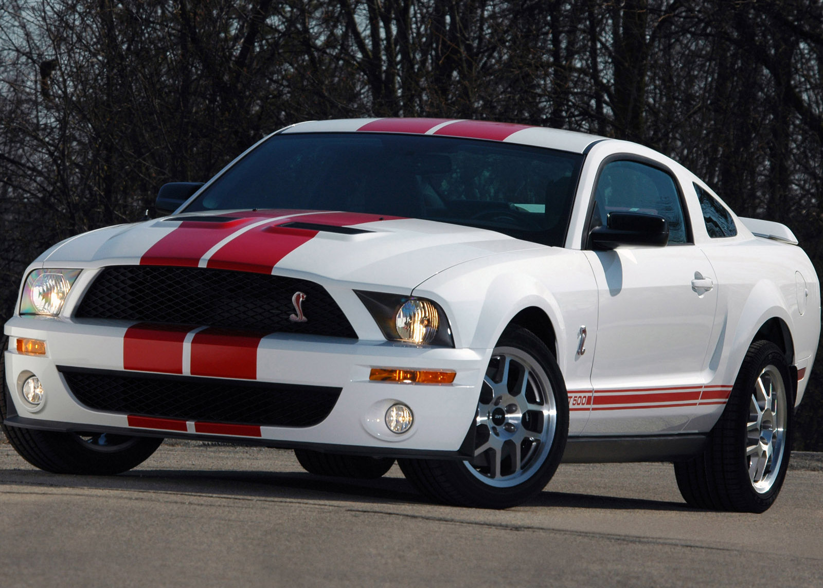 Shelby Ford Mustang GT500 Red Stripe photo #3