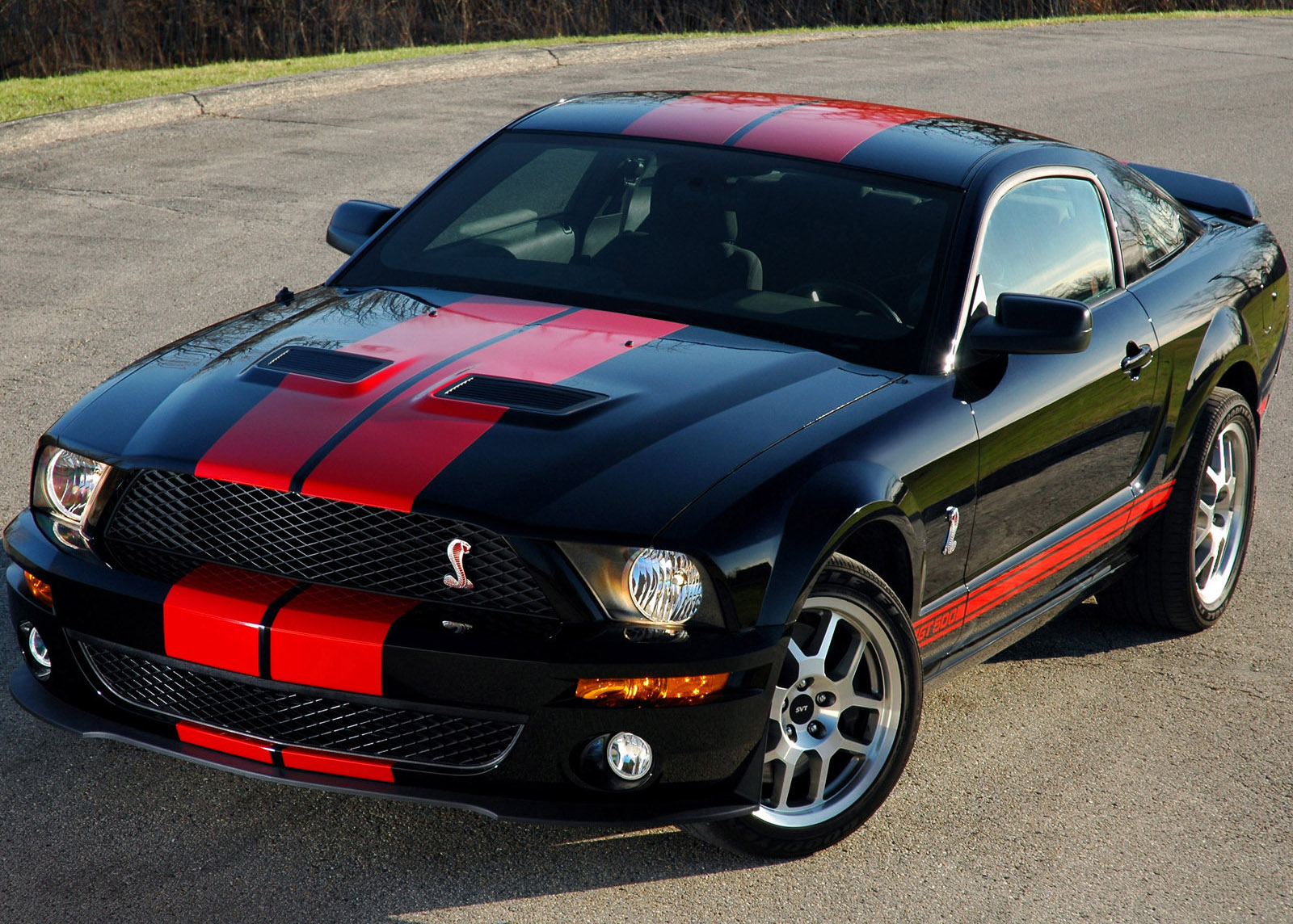 Shelby Ford Mustang GT500 Red Stripe photo #4