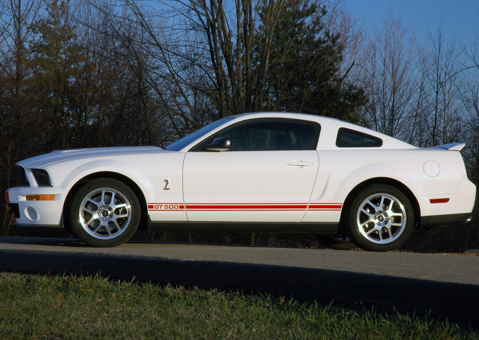 Shelby Ford Mustang GT500 Red Stripe photo #5