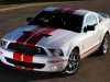 2007 Shelby Ford Mustang GT500 Red Stripe