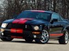 Shelby Ford Mustang GT500 Red Stripe 2007