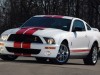 2007 Shelby Ford Mustang GT500 Red Stripe thumbnail photo 87641