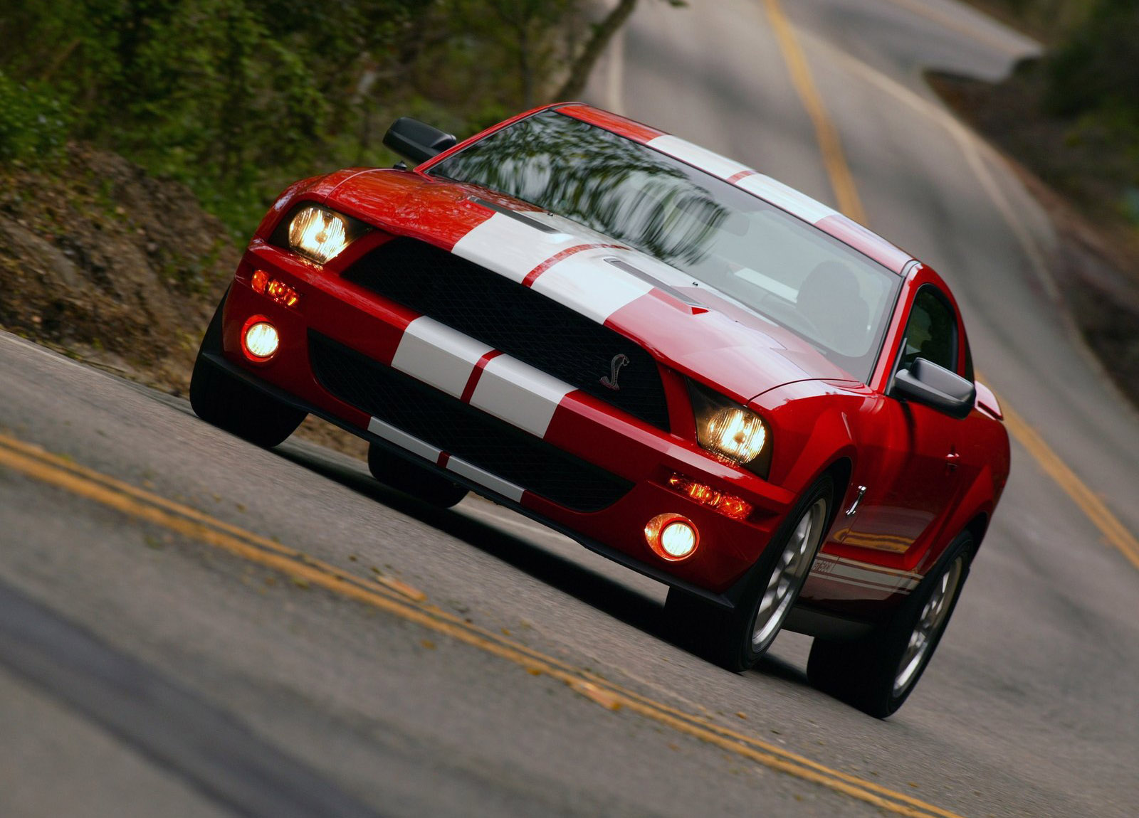 Shelby Ford Mustang GT500 photo #1