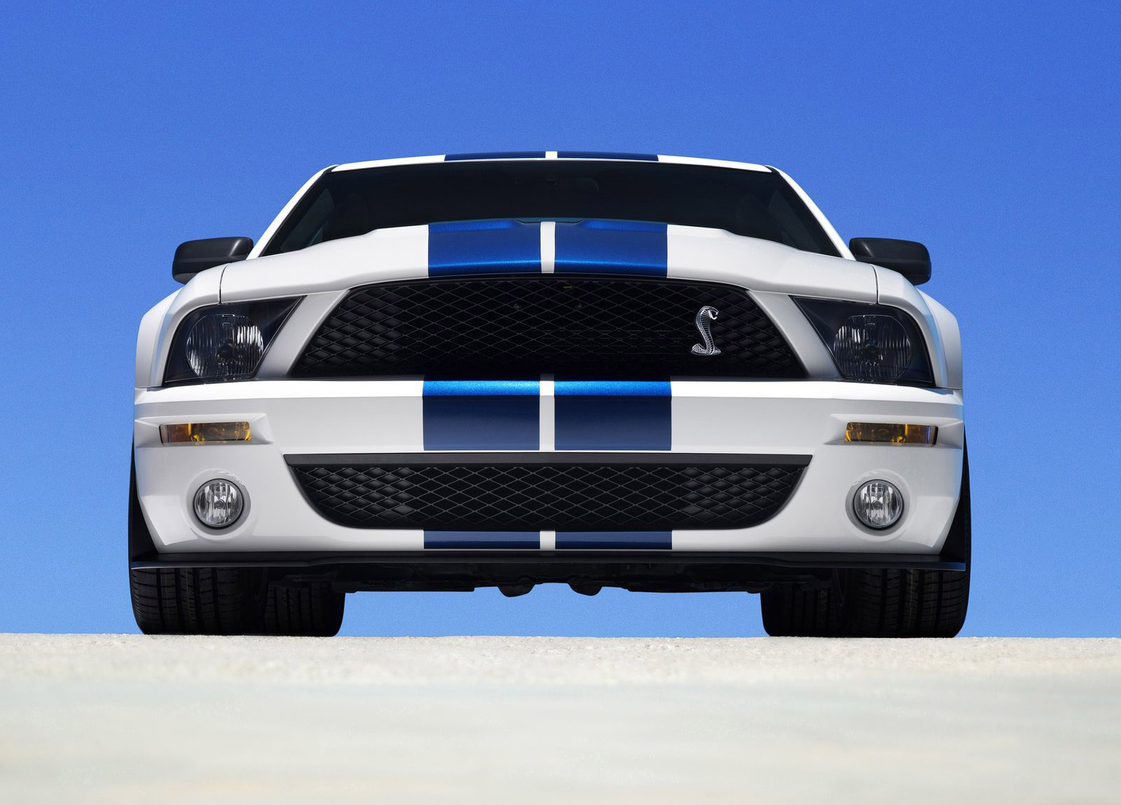 Shelby Ford Mustang GT500 photo #29